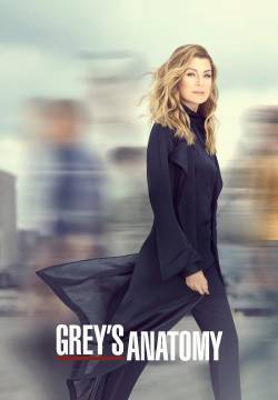 Grey's Anatomy - Stagione 16